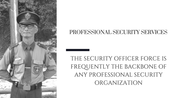 Professional Security Officer 