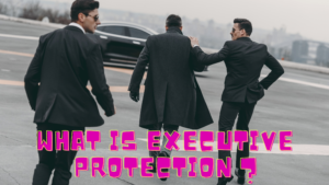 What is Executive Protection